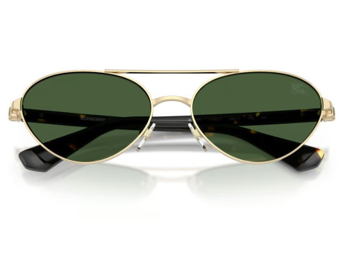 Lunettes de Soleil Burberry BE3165