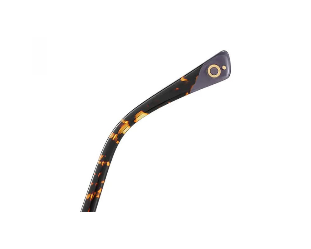 Lunettes de Soleil Etnia Barcelona FLORIDA