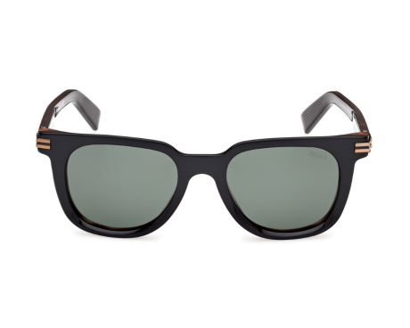 249944-Lunettes de soleil Ermenegildo Zegna EZ0248