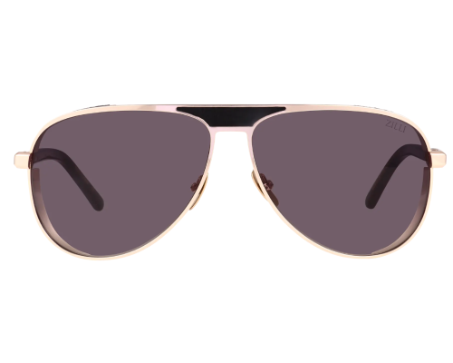 Lunettes de soleil Zilli Rudel ZI65113