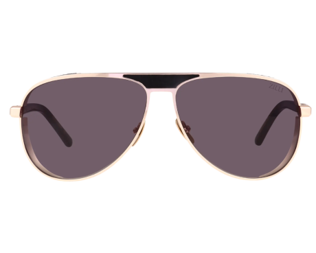 251435-Lunettes de soleil Zilli Rudel ZI65113