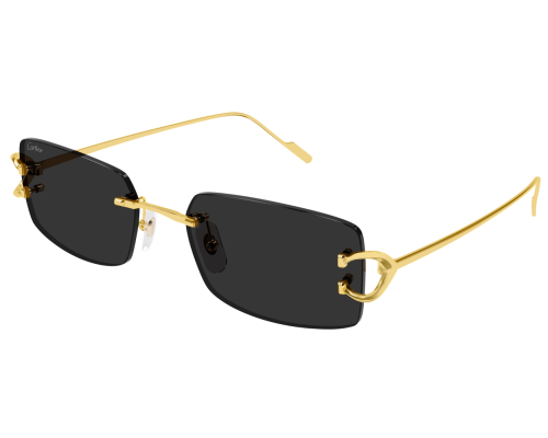 Cartier Piccadilly CT0605S Zonnebril