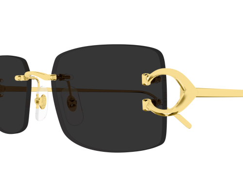 Lunettes de soleil Cartier Piccadilly CT0605S
