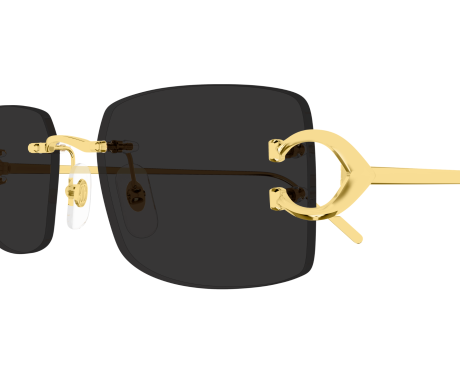 252541-Lunettes de soleil Cartier Piccadilly CT0605S