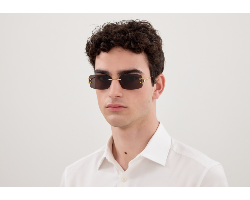 Lunettes de soleil Cartier Piccadilly CT0605S