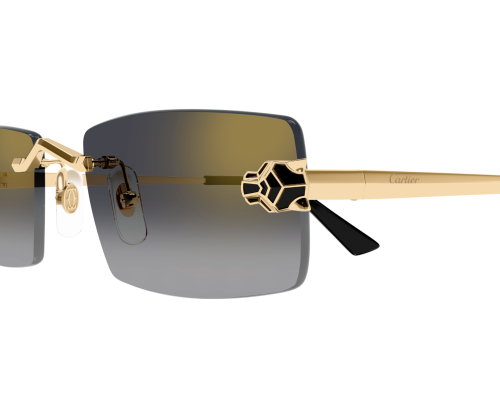 Lunettes de soleil Cartier Panthère CT0598S pour femmes