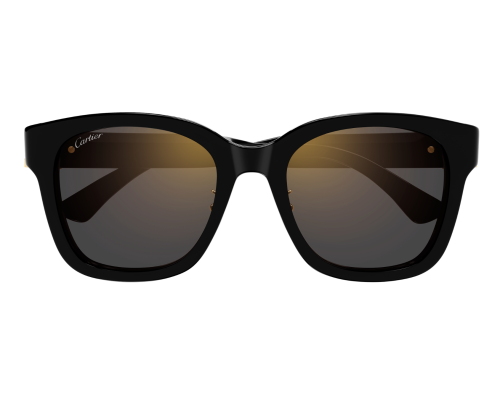 Lunettes de soleil Cartier Signature C CT0589SA