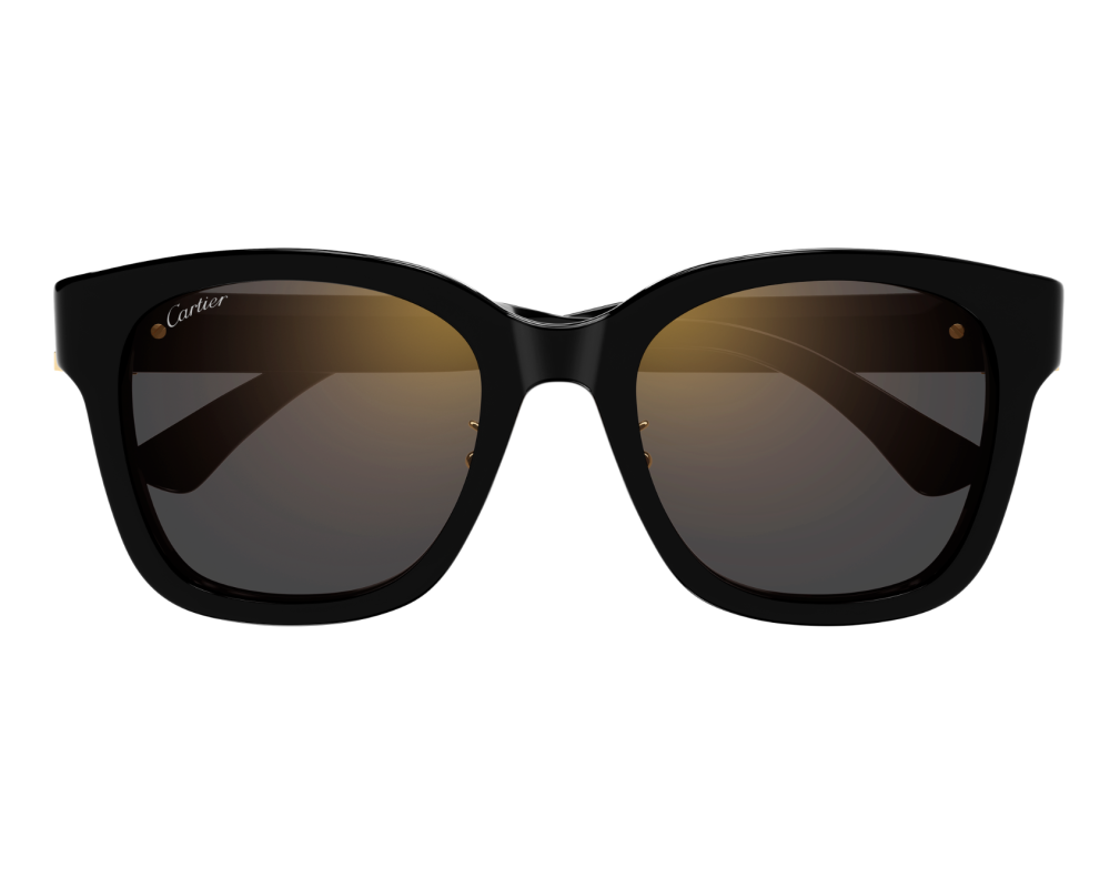 Lunettes de soleil Cartier Signature C CT0589SA