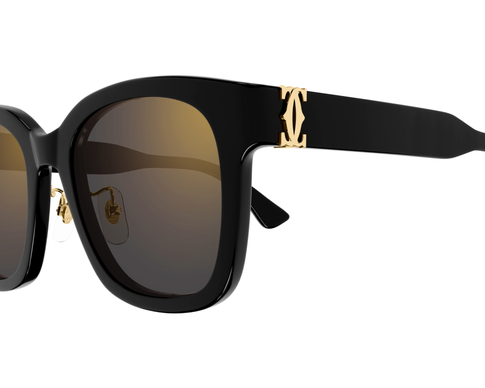 Lunettes de soleil Cartier Signature C CT0589SA