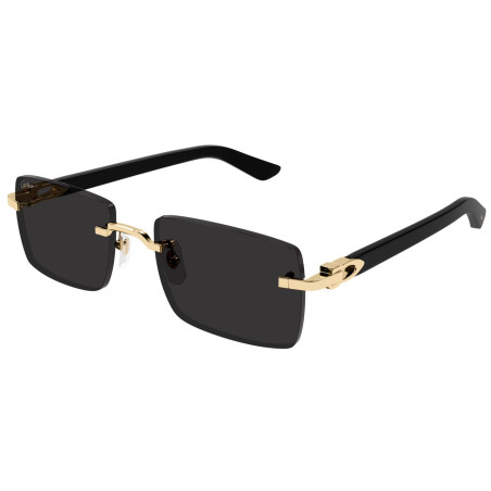Lunettes de soleil Cartier Décor C CT0579S