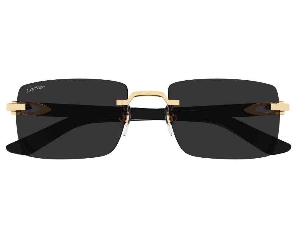 Lunettes de soleil Cartier Décor C CT0579S