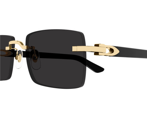 Lunettes de soleil Cartier Décor C CT0579S