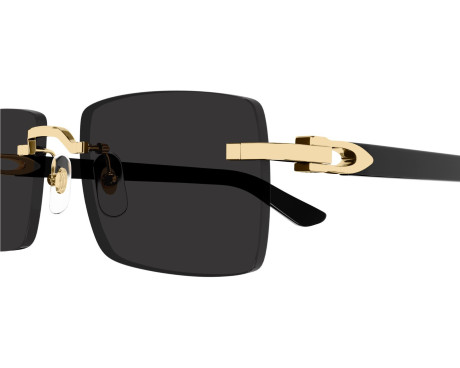 252806-Lunettes de soleil Cartier Décor C CT0579S