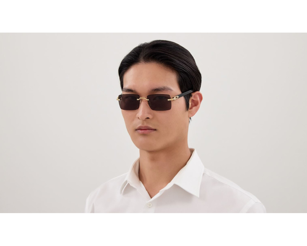 Lunettes de soleil Cartier Décor C CT0579S