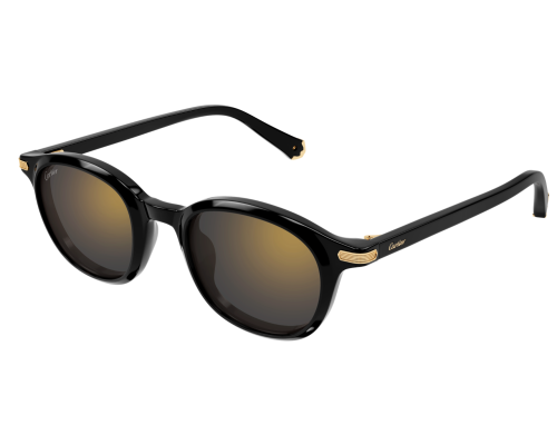 Lunettes de Soleil Cartier Contemporary CT0584S