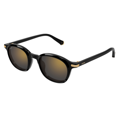 Lunettes de Soleil Cartier Contemporary CT0584S