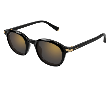 252827-Cartier Eigentijdse CT0584S Zonnebril