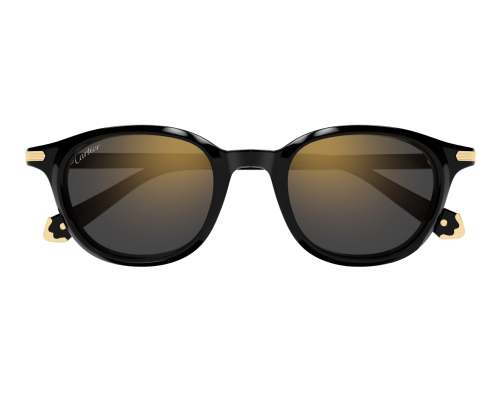 Cartier Eigentijdse CT0584S Zonnebril