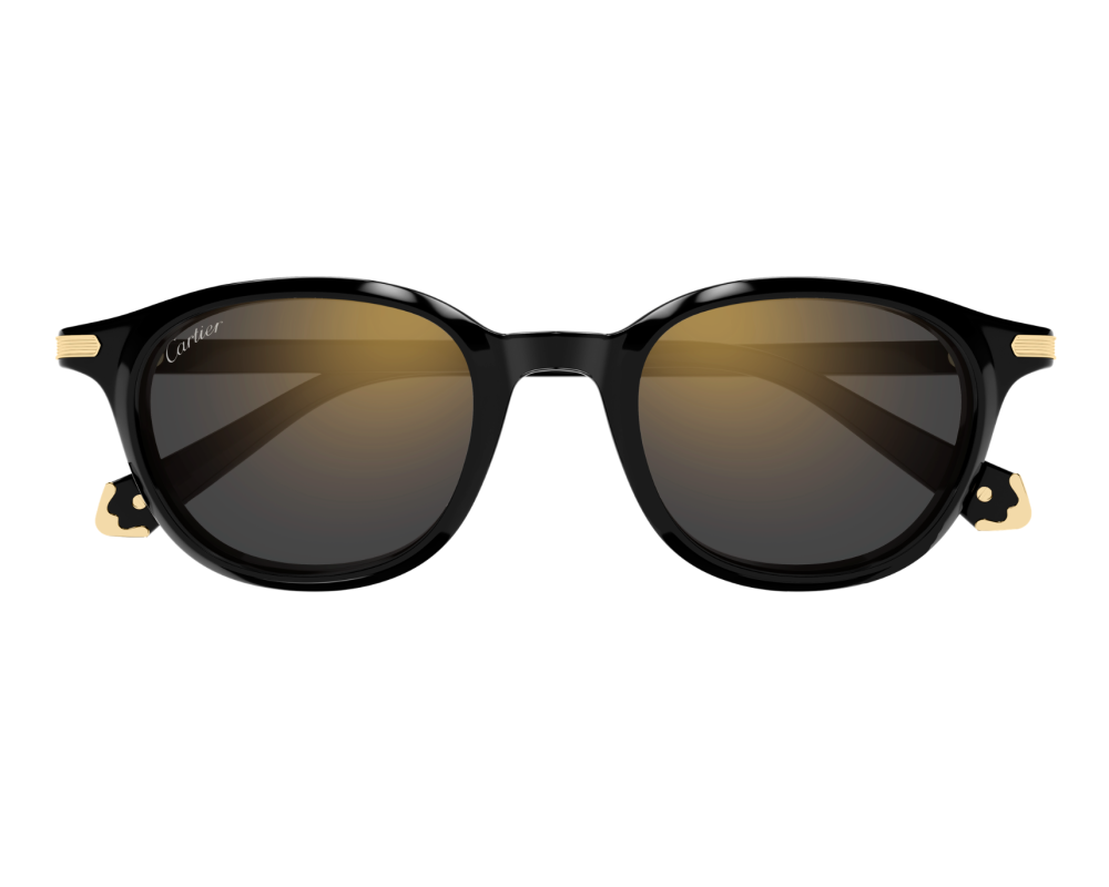 Cartier Eigentijdse CT0584S Zonnebril