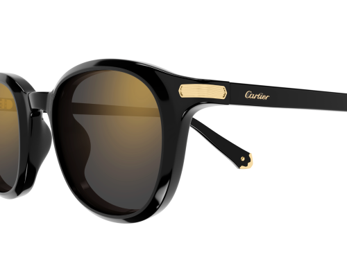 Lunettes de Soleil Cartier Contemporary CT0584S