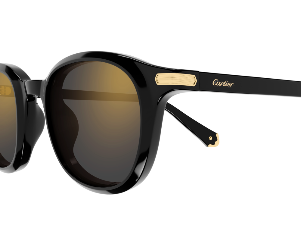 Lunettes de Soleil Cartier Contemporary CT0584S