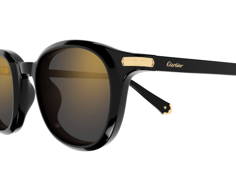 252829-Cartier Eigentijdse CT0584S Zonnebril