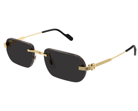 252850-Cartier Première CT0577S Zonnebril