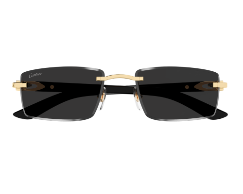 Lunettes de Soleil Cartier Décor C CT0582S