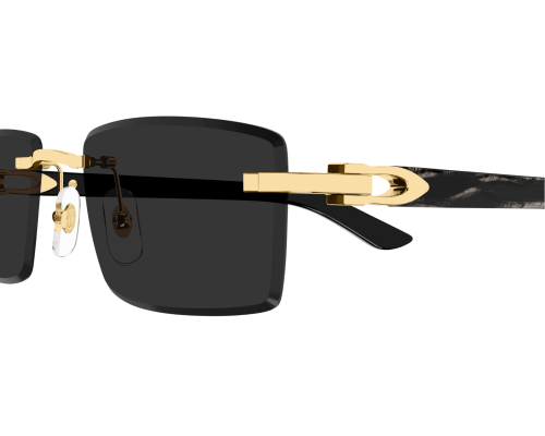 Lunettes de Soleil Cartier Décor C CT0582S