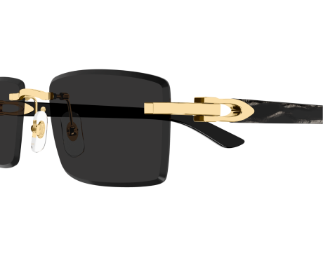 253168-Cartier Zonnebril Décor C CT0582S