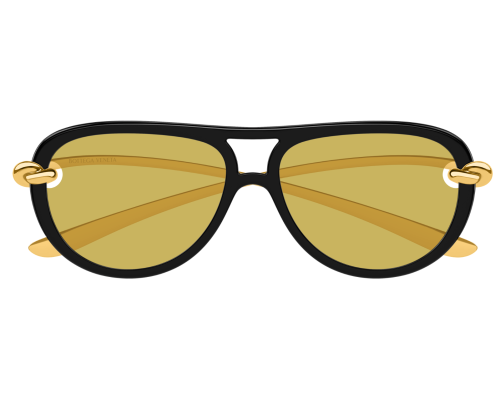 Lunettes de soleil Bottega Veneta Signature Icons BV1418S