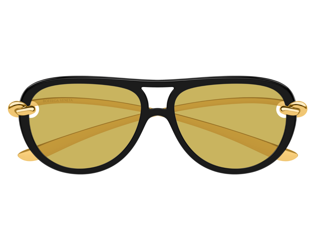 Lunettes de soleil Bottega Veneta Signature Icons BV1418S