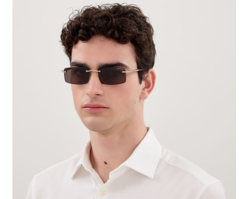 Lunettes de Soleil Montblanc Meisterstück MB0443S