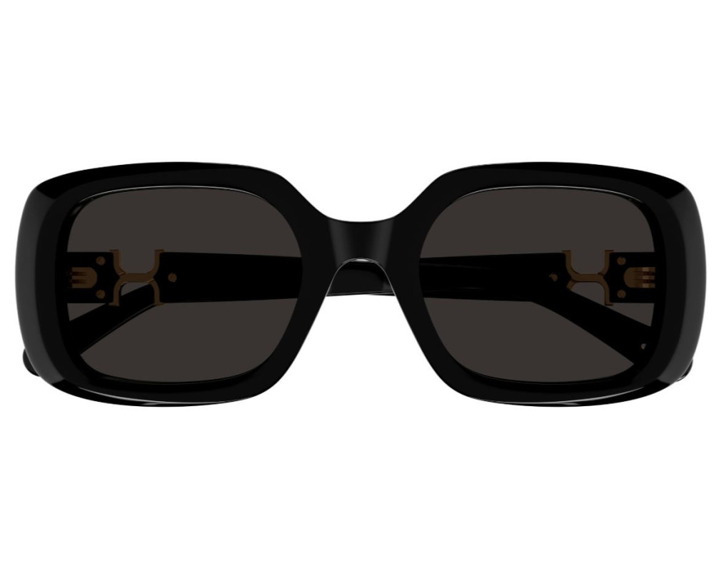 Lunettes de Soleil Chloe CH0333S