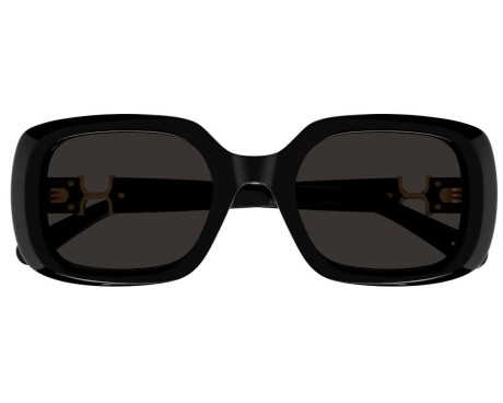256206-Lunettes de Soleil Chloe CH0333S
