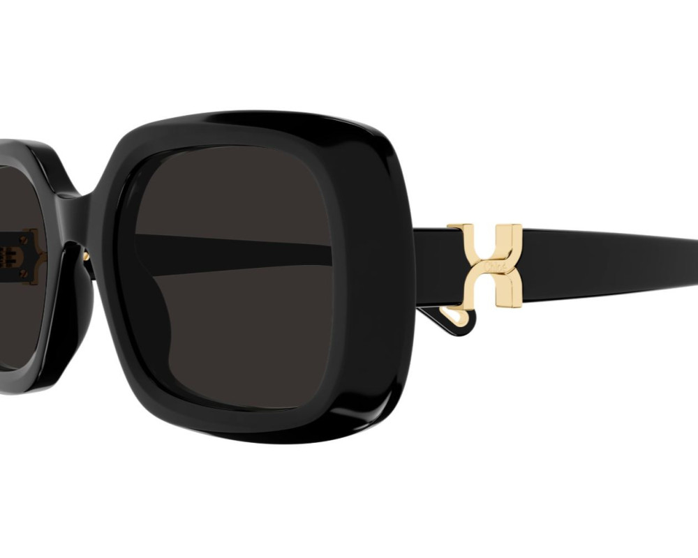 Lunettes de Soleil Chloe CH0333S