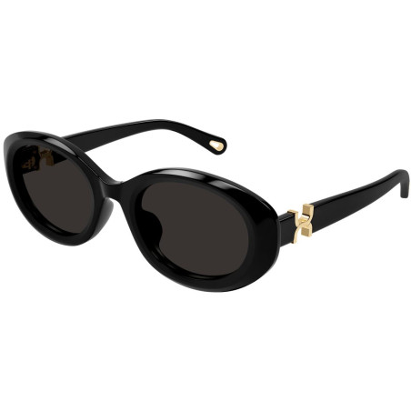 Lunettes de Soleil Chloe CH0323SK