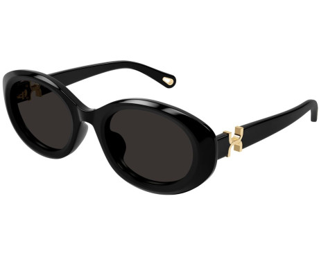256308-Lunettes de Soleil Chloe CH0323SK