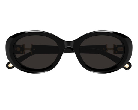 256309-Lunettes de Soleil Chloe CH0323SK
