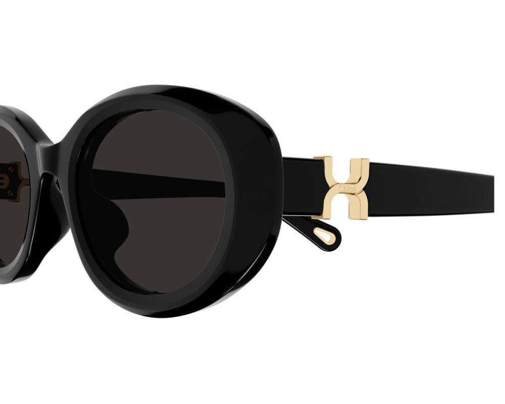 Lunettes de Soleil Chloe CH0323SK