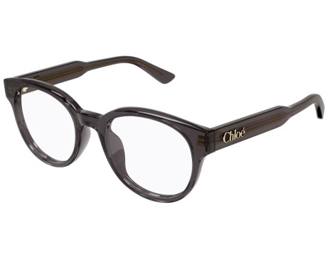 256377-Chloe CH0343OA bril