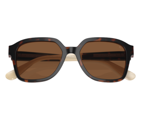 261183-Lunettes de soleil Brunello Cucinelli BC4005S