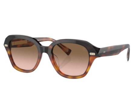 261448-Zonnebril Brunello Cucinelli BC4004S