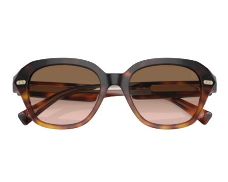 261450-Zonnebril Brunello Cucinelli BC4004S