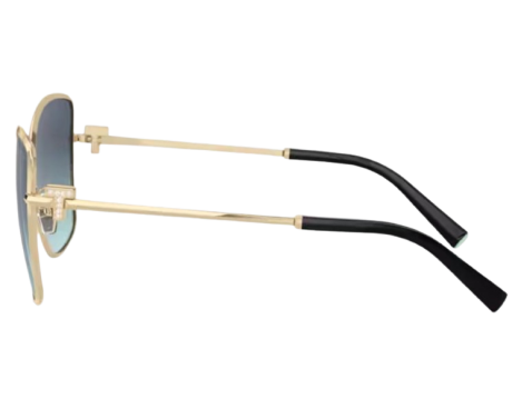 261553-Tiffany & Co TF3102B Zonnebril