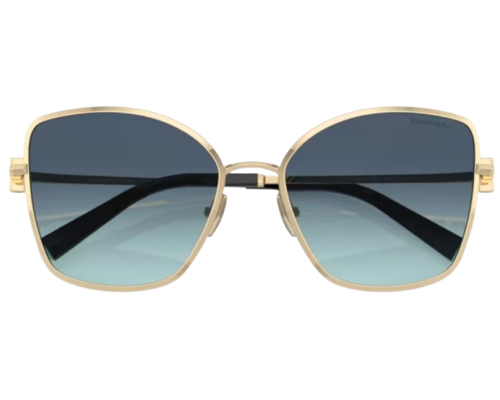 Lunettes de Soleil Tiffany & Co TF3102B