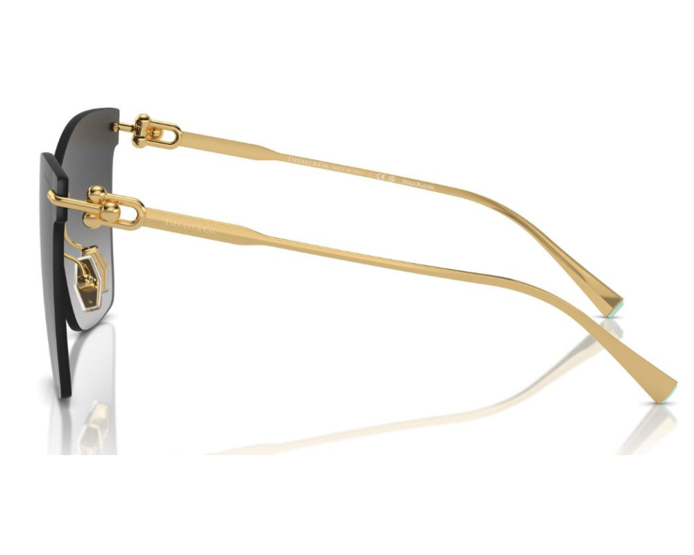 Tiffany & Co TF3103K Zonnebril