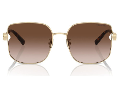 261576-Lunettes de Soleil Tiffany & Co TF3105D