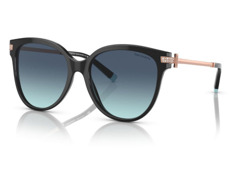 261591-Lunettes de Soleil Tiffany & Co TF4193B
