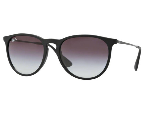 Lunettes de soleil Ray-Ban Erika RB4171 622/8G Noires | Revendeur Agré Ray-Ban | product_reduce_price